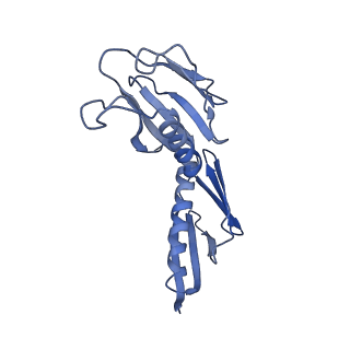 6778_5xxb_H_v1-1
Large subunit of Toxoplasma gondii ribosome