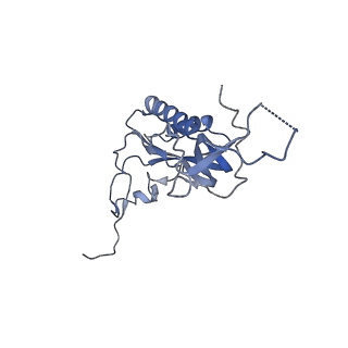 6778_5xxb_I_v1-1
Large subunit of Toxoplasma gondii ribosome