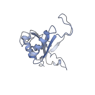 6778_5xxb_J_v1-1
Large subunit of Toxoplasma gondii ribosome