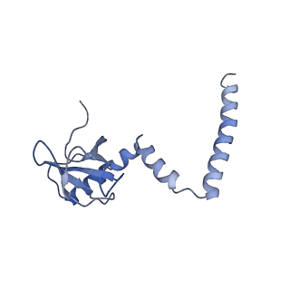 6778_5xxb_L_v1-1
Large subunit of Toxoplasma gondii ribosome