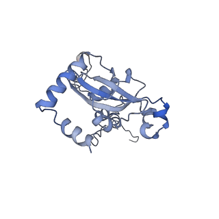 6778_5xxb_M_v1-1
Large subunit of Toxoplasma gondii ribosome