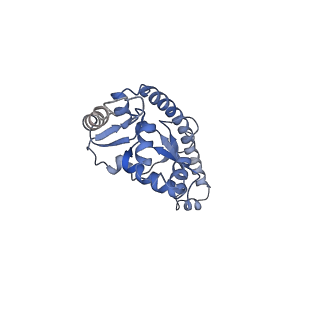 6778_5xxb_N_v1-1
Large subunit of Toxoplasma gondii ribosome