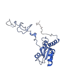 6778_5xxb_P_v1-1
Large subunit of Toxoplasma gondii ribosome