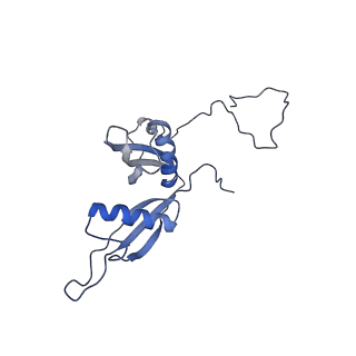 6778_5xxb_R_v1-1
Large subunit of Toxoplasma gondii ribosome