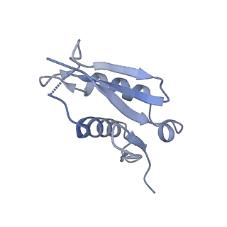 6778_5xxb_T_v1-1
Large subunit of Toxoplasma gondii ribosome