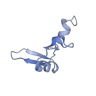 6778_5xxb_V_v1-1
Large subunit of Toxoplasma gondii ribosome