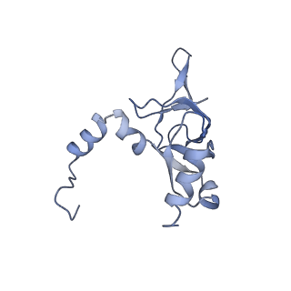 6778_5xxb_X_v1-1
Large subunit of Toxoplasma gondii ribosome