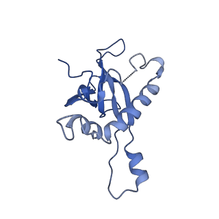 6778_5xxb_Y_v1-1
Large subunit of Toxoplasma gondii ribosome