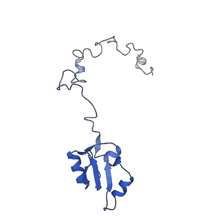 6778_5xxb_Z_v1-1
Large subunit of Toxoplasma gondii ribosome