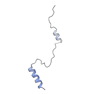 6778_5xxb_a_v1-1
Large subunit of Toxoplasma gondii ribosome