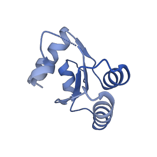 6778_5xxb_b_v1-1
Large subunit of Toxoplasma gondii ribosome