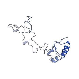 6778_5xxb_d_v1-1
Large subunit of Toxoplasma gondii ribosome