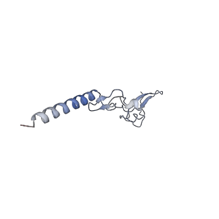6778_5xxb_f_v1-1
Large subunit of Toxoplasma gondii ribosome