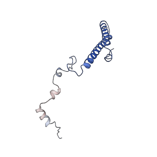 6778_5xxb_g_v1-1
Large subunit of Toxoplasma gondii ribosome
