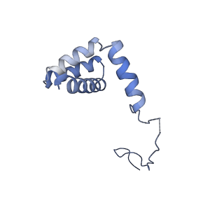 6778_5xxb_h_v1-1
Large subunit of Toxoplasma gondii ribosome
