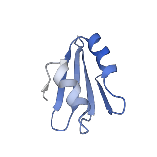 6778_5xxb_j_v1-1
Large subunit of Toxoplasma gondii ribosome
