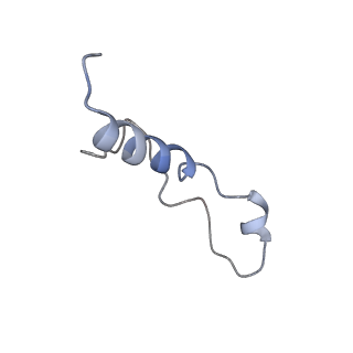 6778_5xxb_k_v1-1
Large subunit of Toxoplasma gondii ribosome