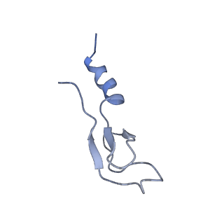 6778_5xxb_l_v1-1
Large subunit of Toxoplasma gondii ribosome