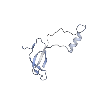 6778_5xxb_n_v1-1
Large subunit of Toxoplasma gondii ribosome