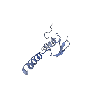 6778_5xxb_o_v1-1
Large subunit of Toxoplasma gondii ribosome