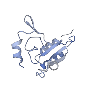 6778_5xxb_p_v1-1
Large subunit of Toxoplasma gondii ribosome