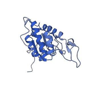 6780_5xxu_A_v1-2
Small subunit of Toxoplasma gondii ribosome