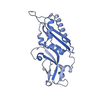 6780_5xxu_B_v1-2
Small subunit of Toxoplasma gondii ribosome