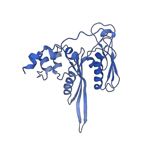 6780_5xxu_C_v1-2
Small subunit of Toxoplasma gondii ribosome
