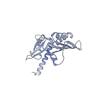 6780_5xxu_D_v1-2
Small subunit of Toxoplasma gondii ribosome