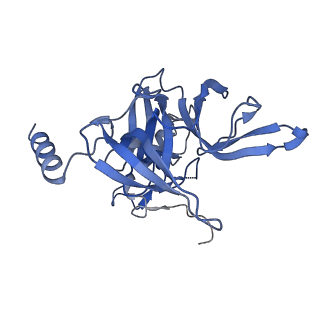 6780_5xxu_E_v1-2
Small subunit of Toxoplasma gondii ribosome
