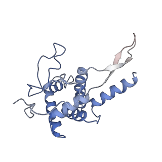 6780_5xxu_F_v1-2
Small subunit of Toxoplasma gondii ribosome