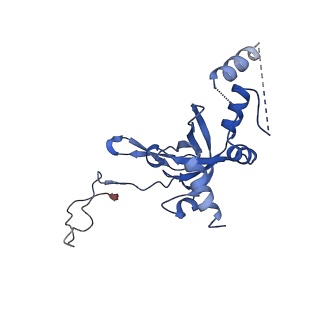 6780_5xxu_I_v1-2
Small subunit of Toxoplasma gondii ribosome