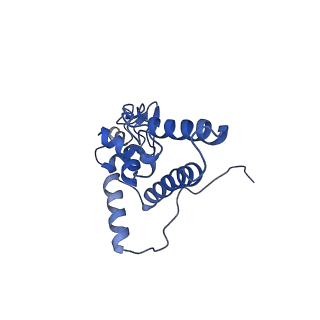 6780_5xxu_J_v1-2
Small subunit of Toxoplasma gondii ribosome