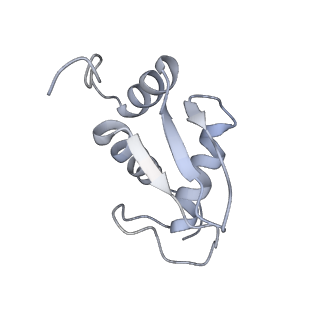 6780_5xxu_K_v1-2
Small subunit of Toxoplasma gondii ribosome