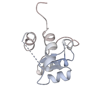 6780_5xxu_M_v1-2
Small subunit of Toxoplasma gondii ribosome