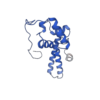 6780_5xxu_N_v1-2
Small subunit of Toxoplasma gondii ribosome