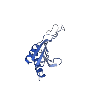 6780_5xxu_O_v1-2
Small subunit of Toxoplasma gondii ribosome