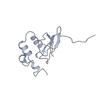 6780_5xxu_P_v1-2
Small subunit of Toxoplasma gondii ribosome