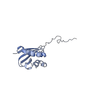 6780_5xxu_Q_v1-2
Small subunit of Toxoplasma gondii ribosome