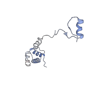 6780_5xxu_R_v1-2
Small subunit of Toxoplasma gondii ribosome