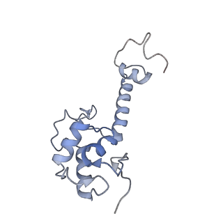 6780_5xxu_S_v1-2
Small subunit of Toxoplasma gondii ribosome
