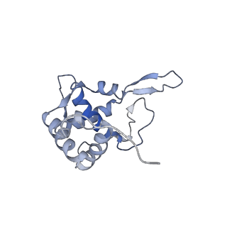 6780_5xxu_T_v1-2
Small subunit of Toxoplasma gondii ribosome