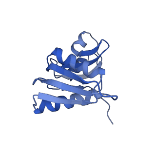 6780_5xxu_W_v1-2
Small subunit of Toxoplasma gondii ribosome
