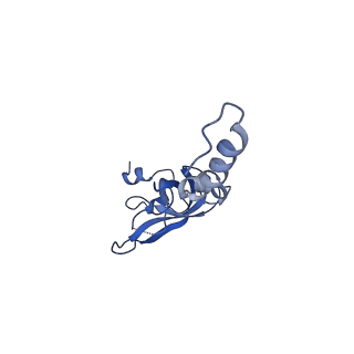 6780_5xxu_X_v1-2
Small subunit of Toxoplasma gondii ribosome