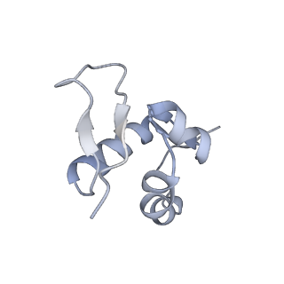 6780_5xxu_Z_v1-2
Small subunit of Toxoplasma gondii ribosome