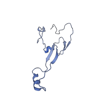 6780_5xxu_a_v1-2
Small subunit of Toxoplasma gondii ribosome