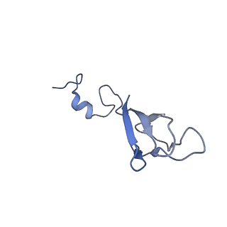 6780_5xxu_b_v1-2
Small subunit of Toxoplasma gondii ribosome