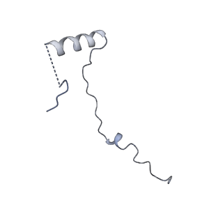 6780_5xxu_e_v1-2
Small subunit of Toxoplasma gondii ribosome