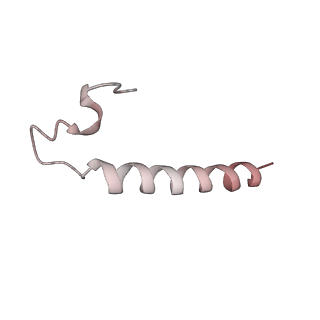6780_5xxu_m_v1-2
Small subunit of Toxoplasma gondii ribosome