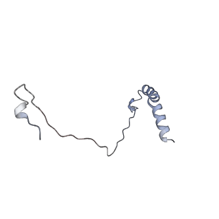 10649_6xye_A_v1-0
Cryo-EM structure of the prefusion state of canine distemper virus fusion protein ectodomain